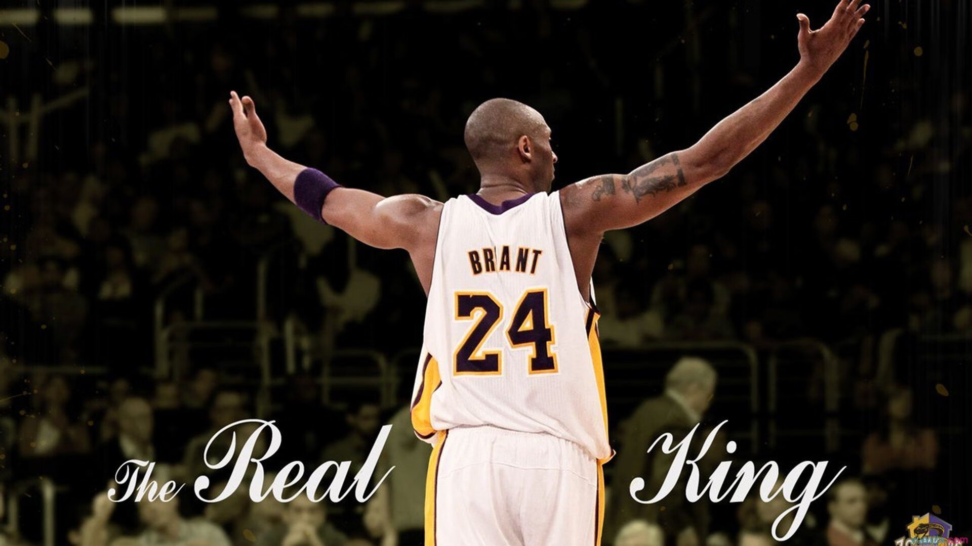 爱游戏全站注册-水球淘汰赛韩国表现沉着冷静，最新水球比赛规则